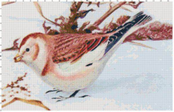 Sparrow
