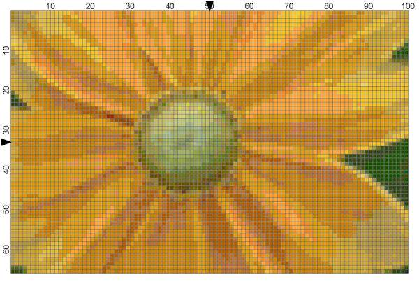 Yellow Flower