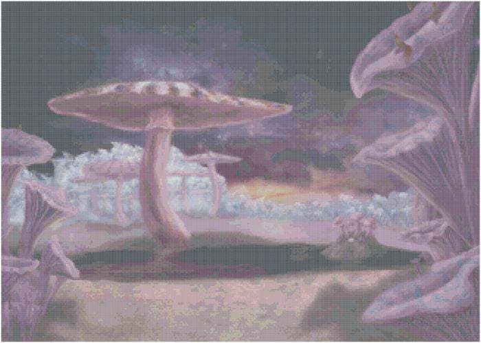 Magical Land of Mushrooms