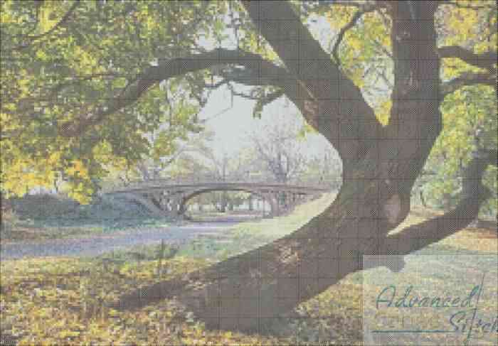 Central Park Gothic Bridge