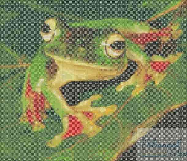 Gliding Frog