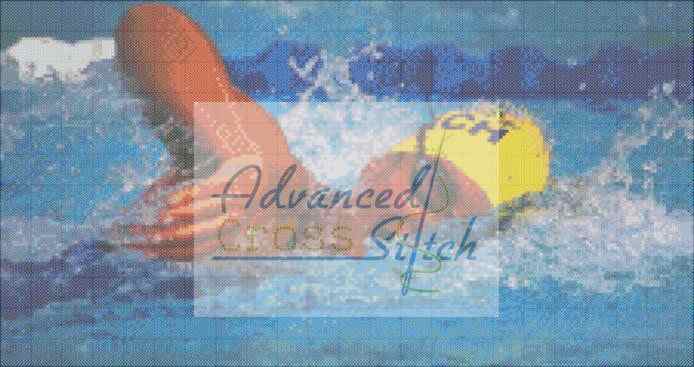 Swimmer