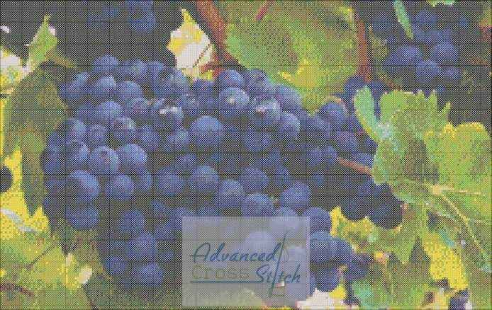 Grapes