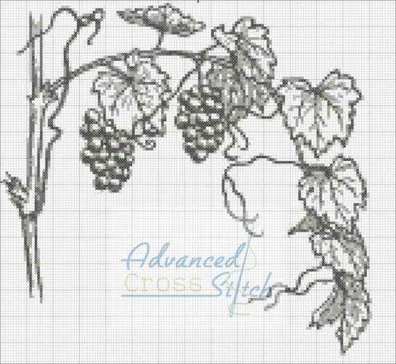 Grapevine