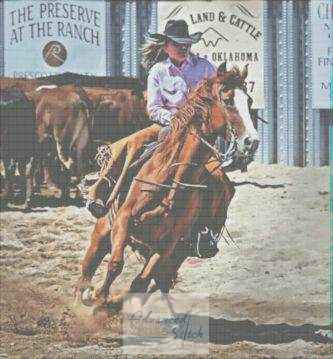Horse and Rider