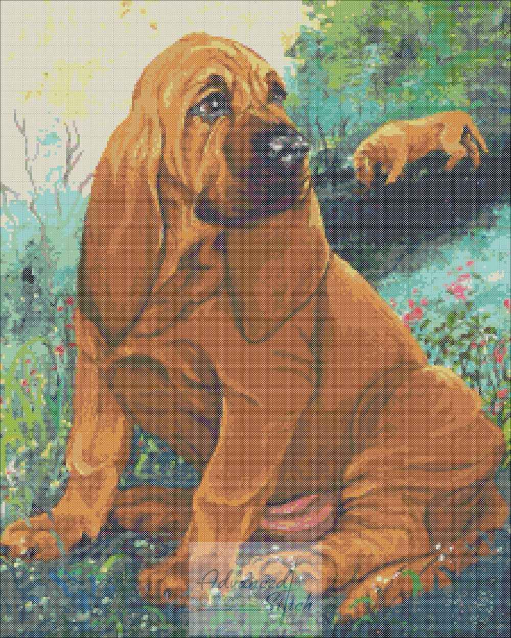 Red Blood Hound
