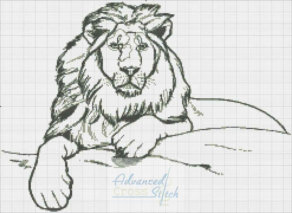 King of the Jungle King of the Jungle
