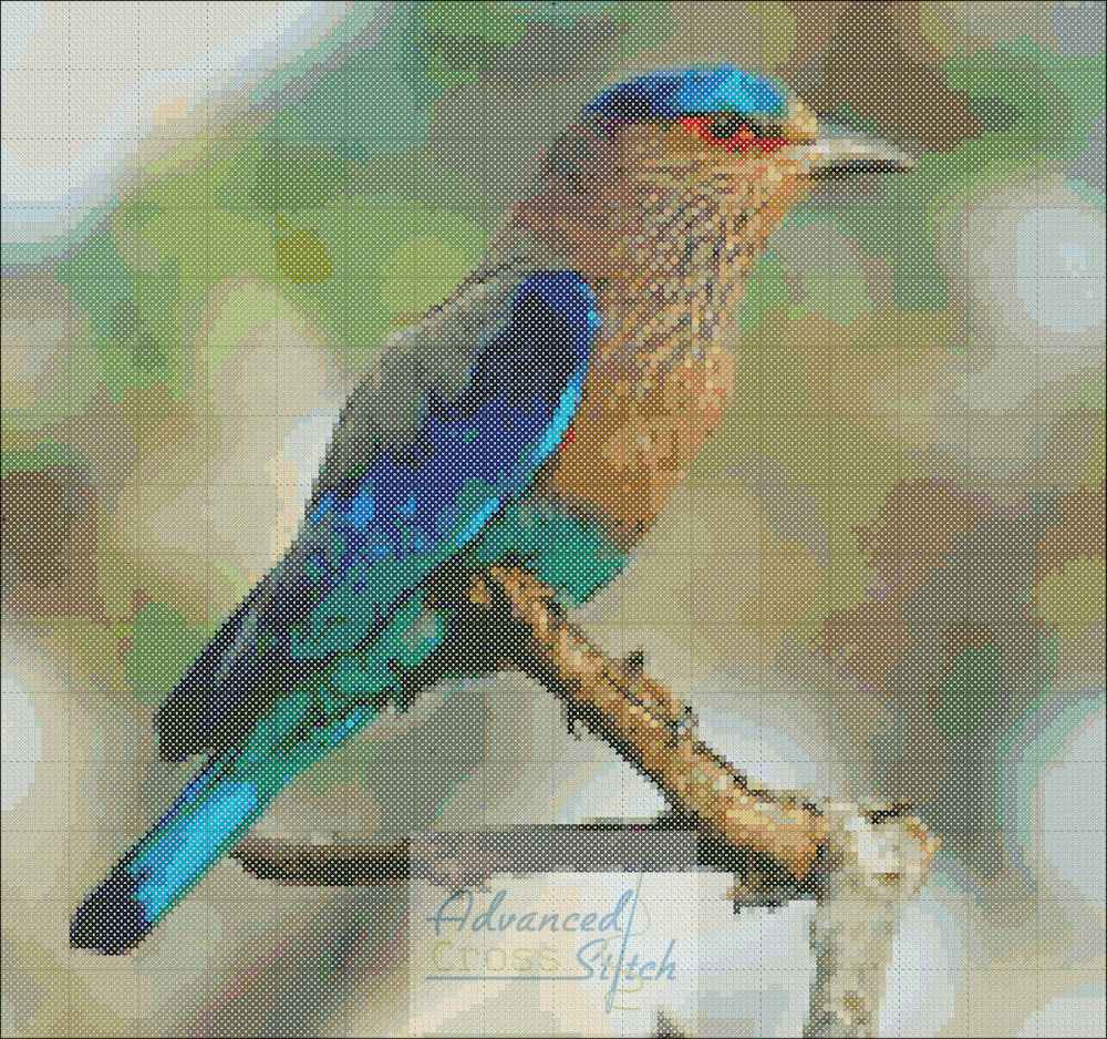 Blue Bird perched on a branch.