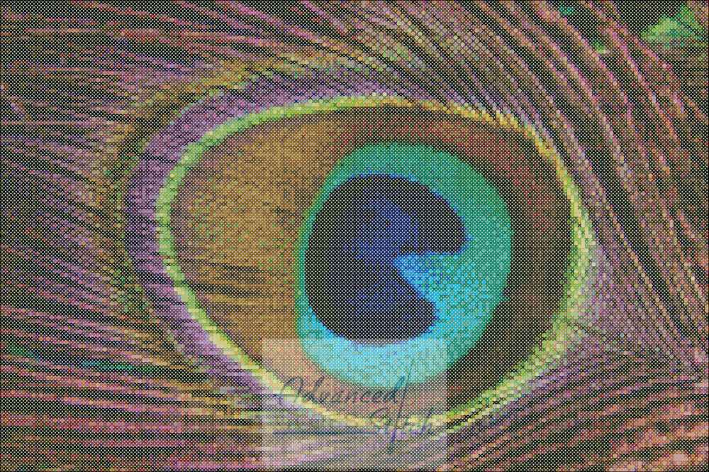 A close up image of a peacock's eye, highlighting its intricate beauty.