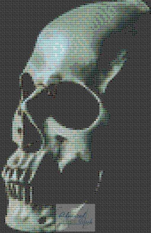 Skull on Black