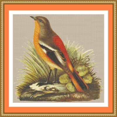 Orange Sparrow Chart