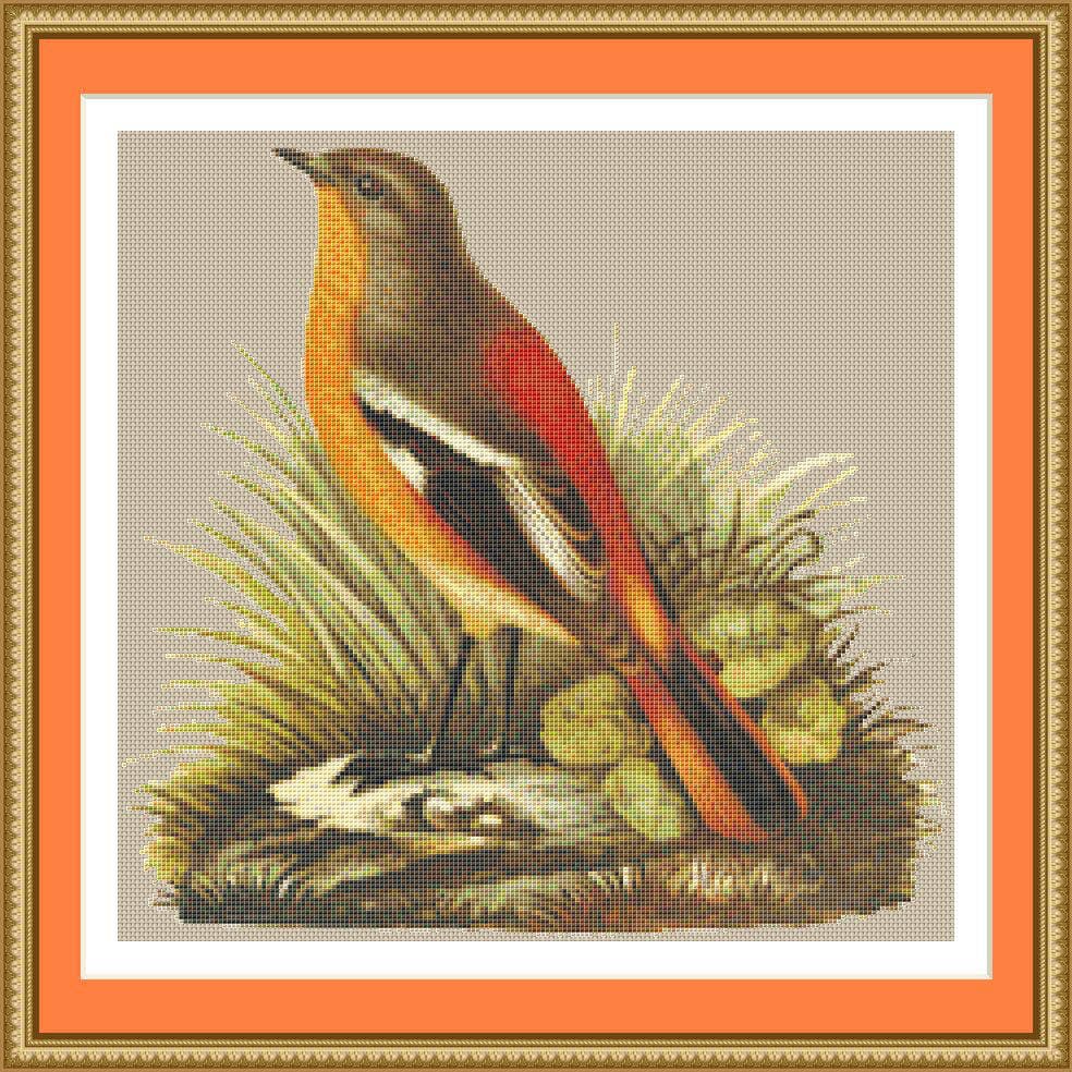 Orange Sparrow Chart