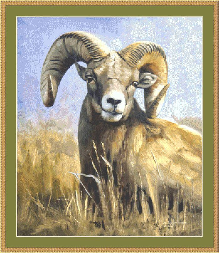 BigHorn Sheep Cross Stitch