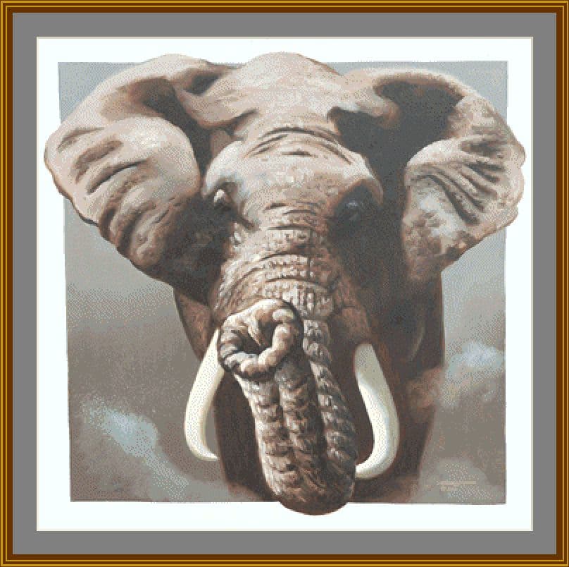 elephant mockup elephant mockup