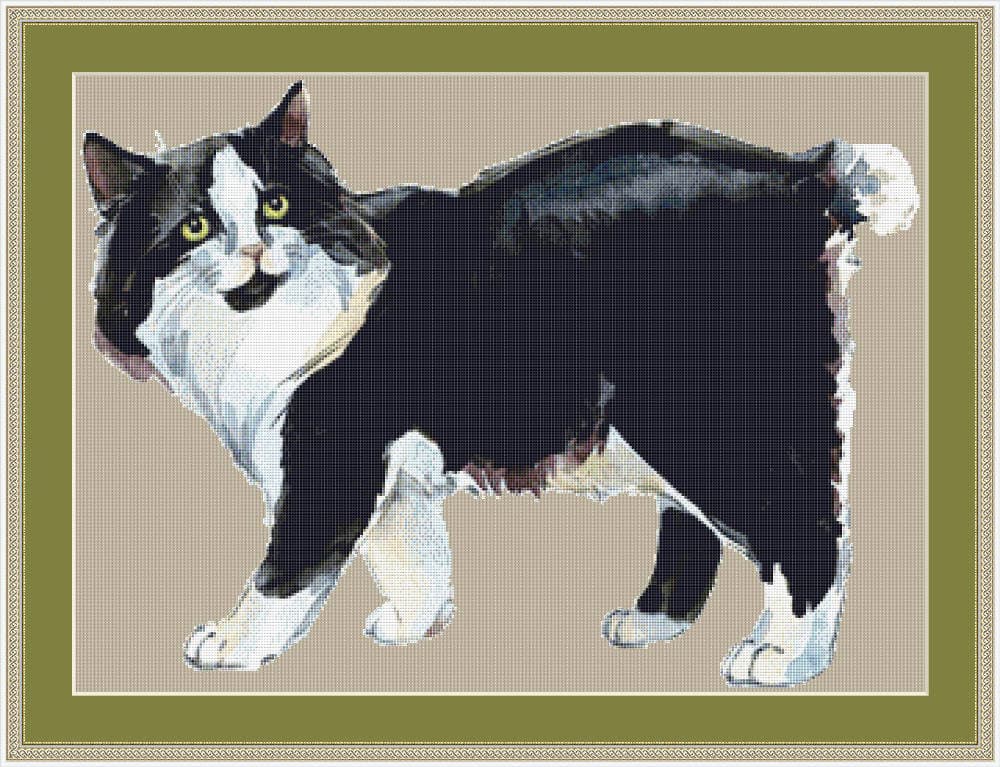 cymric cat mockup web