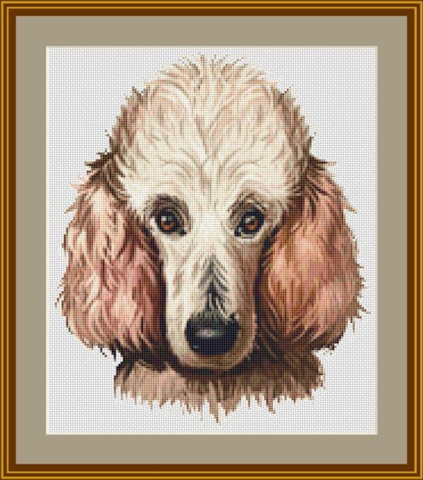poodle mockup