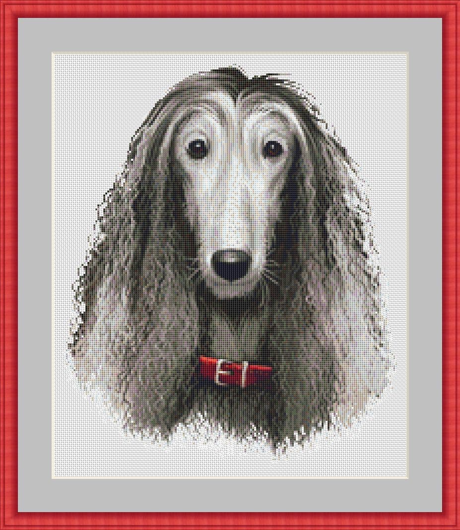 afghan hound mockup