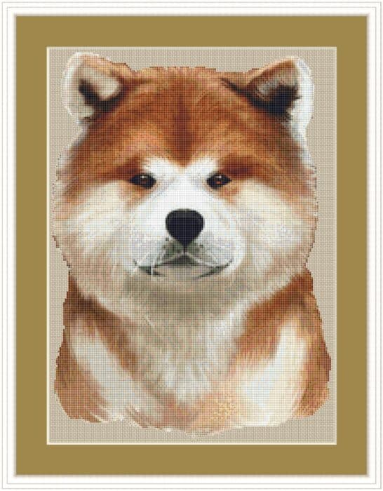 akita mockup