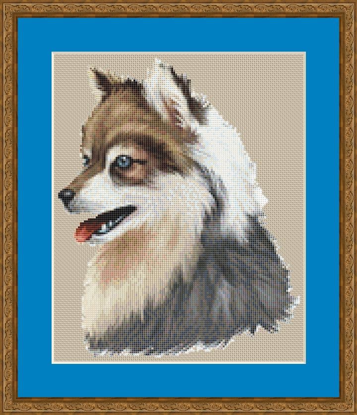 alaskan klee kai mockup