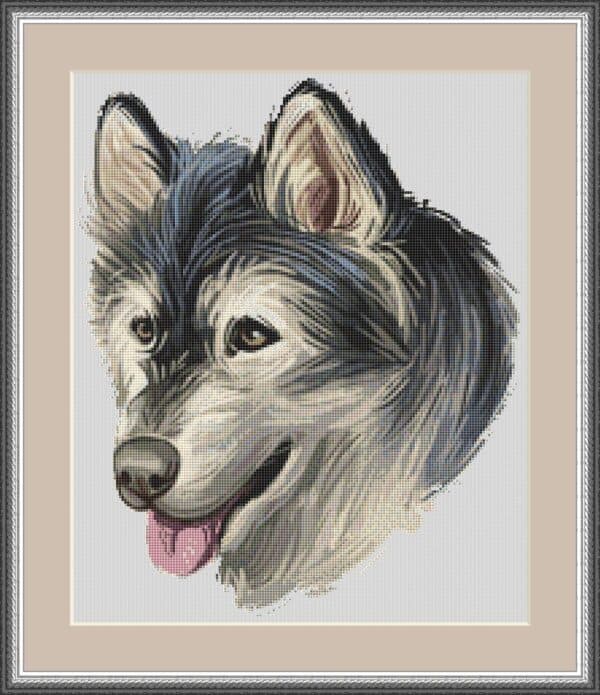 alaskan malamute mockup