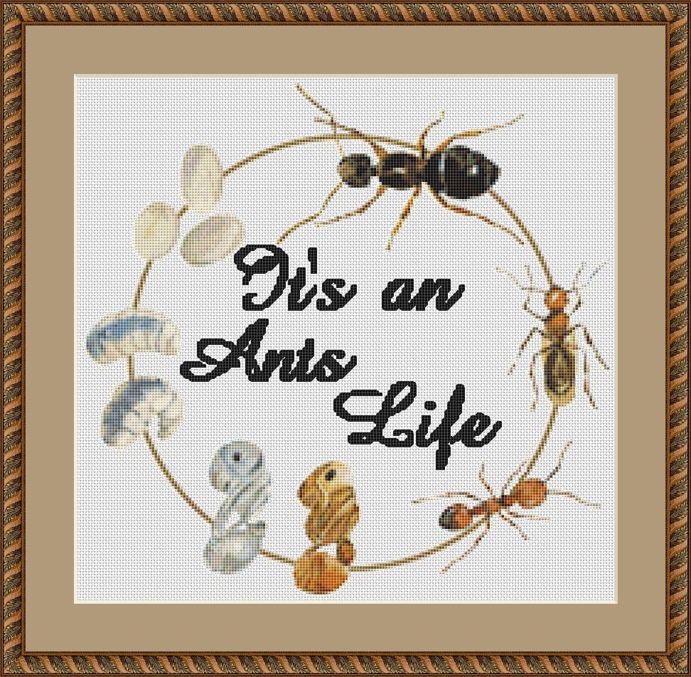ants life mockup
