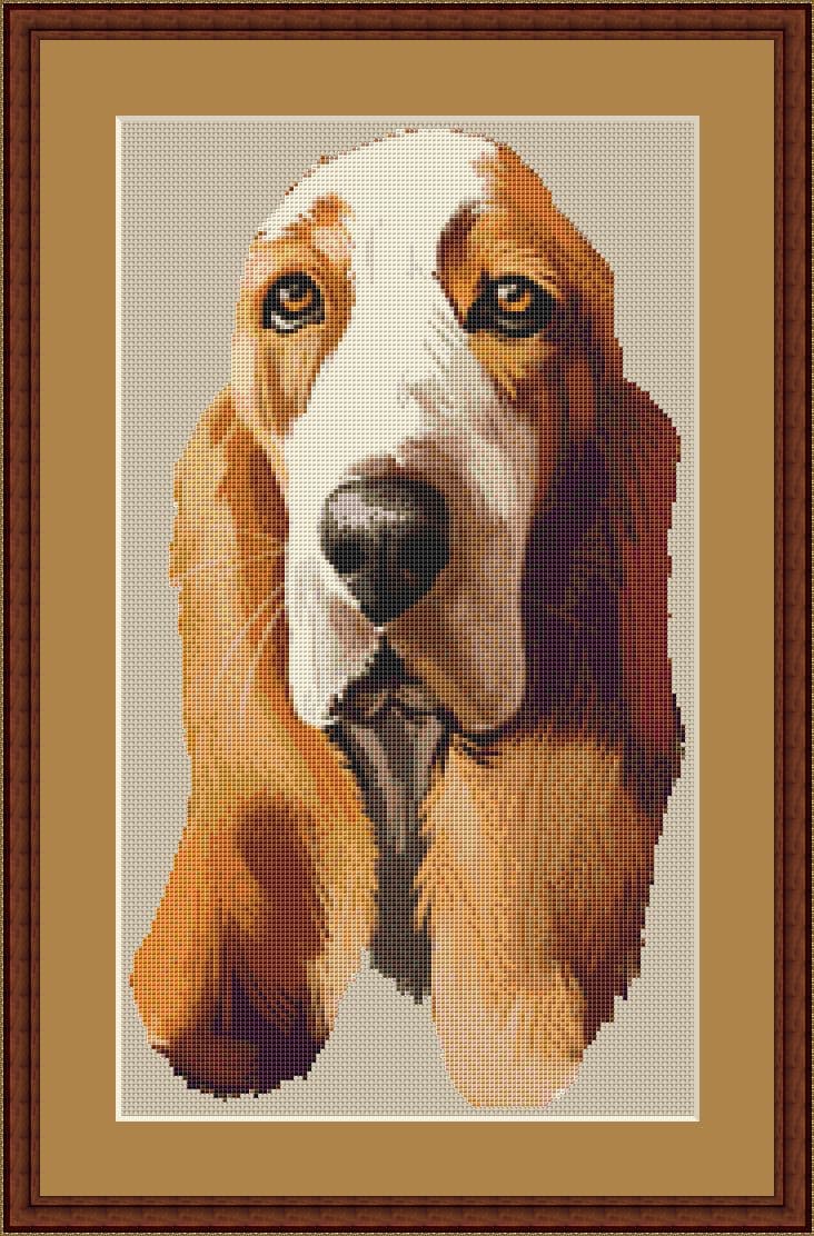 basset hound mockup