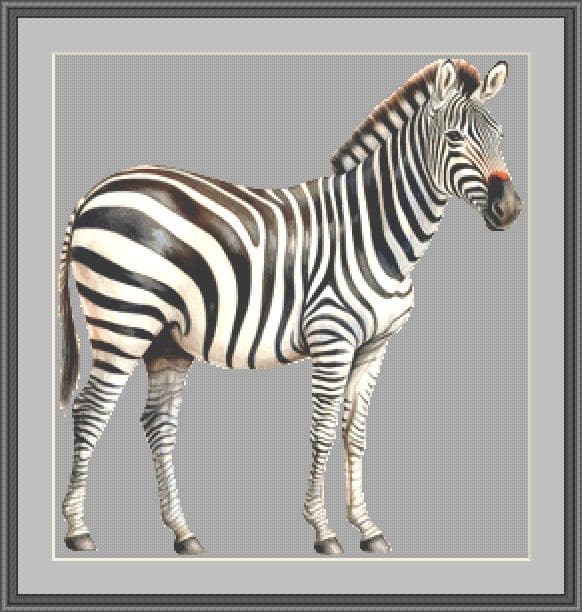 zebra mockup