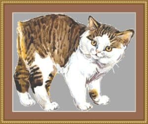 Manx mockup