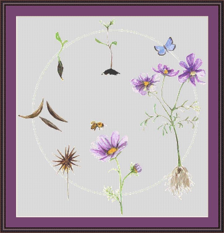 Cosmos Life Cycle Mockup