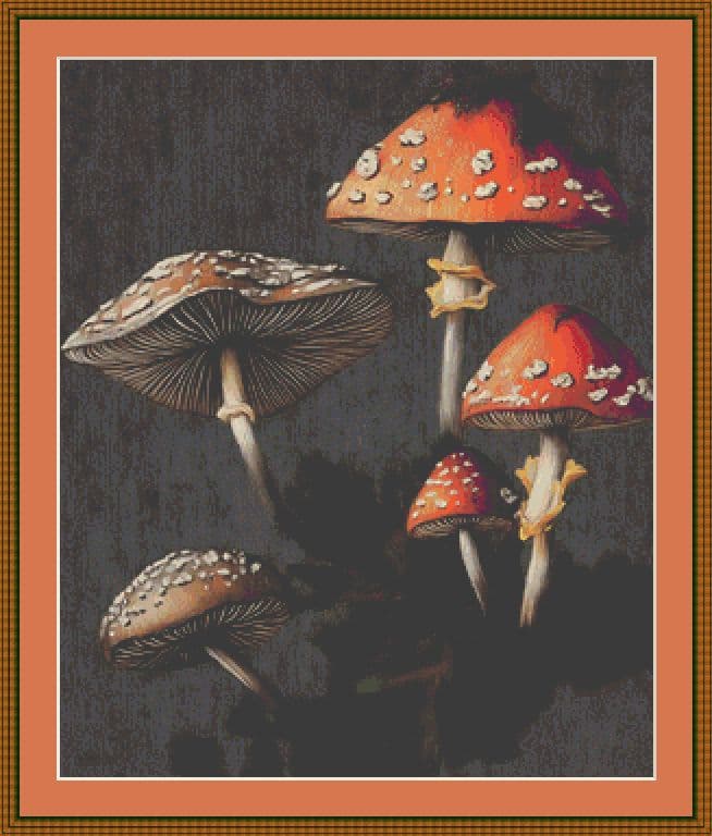 Mushroom Cross Stitch Chart
