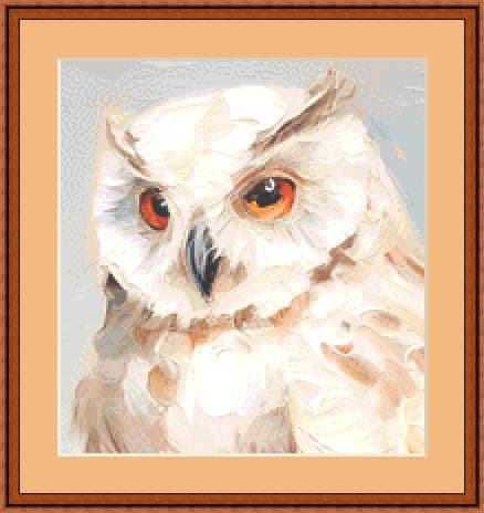 Owlie Mockup